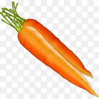 ���ܲ� �߲� �����߲�-������