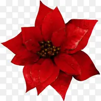 ˮ�ʻ� ���� ʪī-������