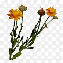 水彩画 颜料 湿墨-空若网 水彩画 颜料 湿墨-空若网