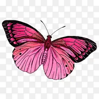 ·É¶êºÍºûµû ºûµû À¥³æ-¿ÕÈôÍø ·É¶êºÍºûµû ºûµû À¥³æ-¿ÕÈôÍø