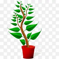 花盆 植物 花-空若网 花盆 植物 花-空若网