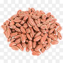 ��ͨ ʳƷ ֲ��-������