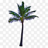 �ɹ���Ʒ�� ֲ�� �����-������