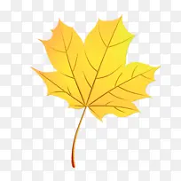 ˮ�ʻ� ���� ʪī-������