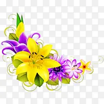 花卉 百合 黄色-空若网 花卉 百合 黄色-空若网