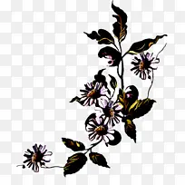 花 植物 开花植物-空若网 花 植物 开花植物-空若网