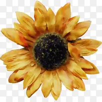 水彩画 颜料 湿墨-空若网 水彩画 颜料 湿墨-空若网