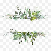 花 植物 枝-空若网 花 植物 枝-空若网