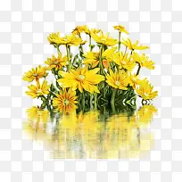 ˮ�� ���� ʪī-������