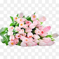 采购产品花 粉红色 花束-空若网 采购产品花 粉红色 花束-空若网