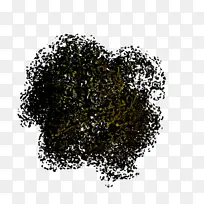 植物 时尚配饰 蕾丝假发-空若网 植物 时尚配饰 蕾丝假发-空若网