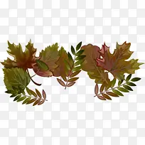 叶子 植物 花-空若网 叶子 植物 花-空若网