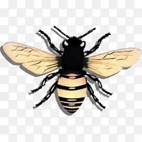 ²¨ÆÕÒÕÊõ ¸´¹Å À¥³æ-¿ÕÈôÍø ²¨ÆÕÒÕÊõ ¸´¹Å À¥³æ-¿ÕÈôÍø