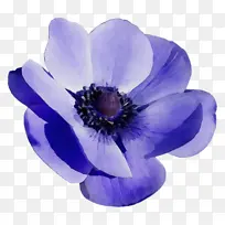 水彩 颜料 湿墨-空若网 水彩 颜料 湿墨-空若网