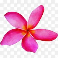 ˮ�ʻ� ���� ʪī-������