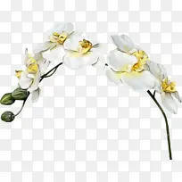 水彩 油漆 湿墨-空若网 水彩 油漆 湿墨-空若网