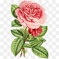 水彩 油漆 湿墨-空若网 水彩 油漆 湿墨-空若网