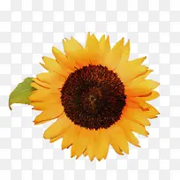 水彩画 油漆 湿墨-空若网 水彩画 油漆 湿墨-空若网