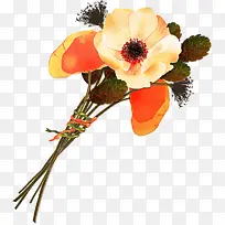 花 切花 橙色-空若网 花 切花 橙色-空若网