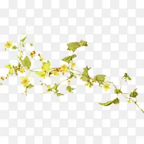 ˮ�ʻ� ���� ʪī-������