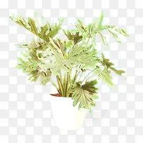 卡通 花 植物-空若网 卡通 花 植物-空若网