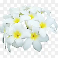 Ë®²Ê» ÑÕÁÏ ÊªÄ«-¿ÕÈôÍø Ë®²Ê» ÑÕÁÏ ÊªÄ«-¿ÕÈôÍø