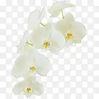 水彩 油漆 湿墨-空若网 水彩 油漆 湿墨-空若网