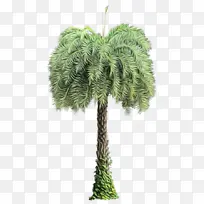 水彩 油漆 湿墨-空若网 水彩 油漆 湿墨-空若网