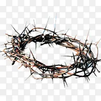 波普艺术 复古 树枝-空若网 波普艺术 复古 树枝-空若网