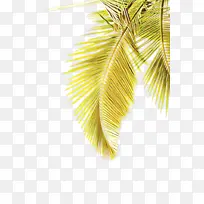 ��ͨ ��ɫ ��-������