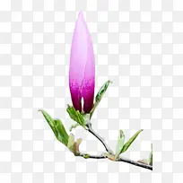 水彩 颜料 湿墨-空若网 水彩 颜料 湿墨-空若网