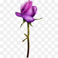 水彩画 颜料 湿墨-空若网 水彩画 颜料 湿墨-空若网