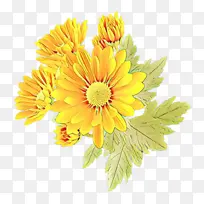 卡通 花卉 开花植物-空若网 卡通 花卉 开花植物-空若网