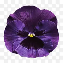 ˮ�ʻ� ���� ʪī-������