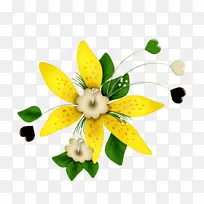 花 黄色 花瓣-空若网 花 黄色 花瓣-空若网