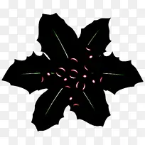 叶 树 植物-空若网 叶 树 植物-空若网