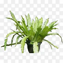 水彩 油漆 湿墨-空若网 水彩 油漆 湿墨-空若网