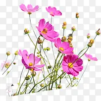 水彩 油漆 湿墨-空若网 水彩 油漆 湿墨-空若网