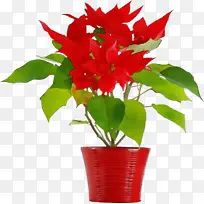 水彩画 油漆 湿墨-空若网 水彩画 油漆 湿墨-空若网