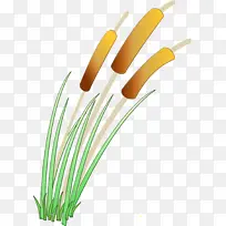 水彩画 颜料 湿墨-空若网 水彩画 颜料 湿墨-空若网