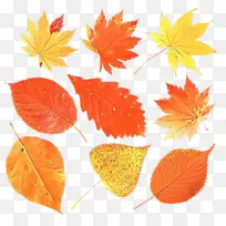 卡通 树叶 树木-空若网 卡通 树叶 树木-空若网