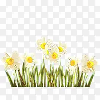 ��ͨ �� ��ɫ-������