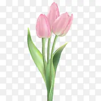 水彩 油漆 湿墨-空若网 水彩 油漆 湿墨-空若网