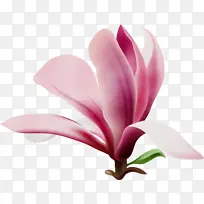 水彩画 颜料 湿墨-空若网 水彩画 颜料 湿墨-空若网