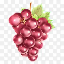 水果 植物 葡萄-空若网 水果 植物 葡萄-空若网