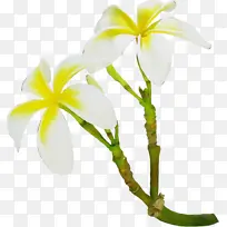 水彩画 颜料 湿墨-空若网 水彩画 颜料 湿墨-空若网