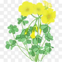 采购产品黄色 植物 水彩画-空若网 采购产品黄色 植物 水彩画-空若网