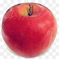 ˮ�� ƻ�� ֲ��-������