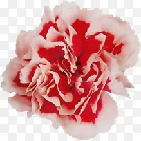 水彩 颜料 湿墨-空若网 水彩 颜料 湿墨-空若网