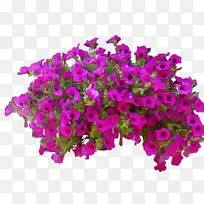 ˮ�ʻ� ���� ʪī-������